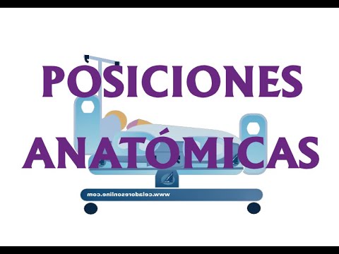 POSICIONES ANATÓMICAS