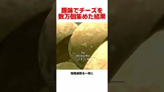 世界中のチーズを数万個集めた結果