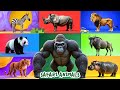 Safari Animal Sounds Song Nursery Rhyme For Kids Learn Animal Names And Sounds