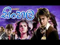 Harry Potter Sinhala Movie