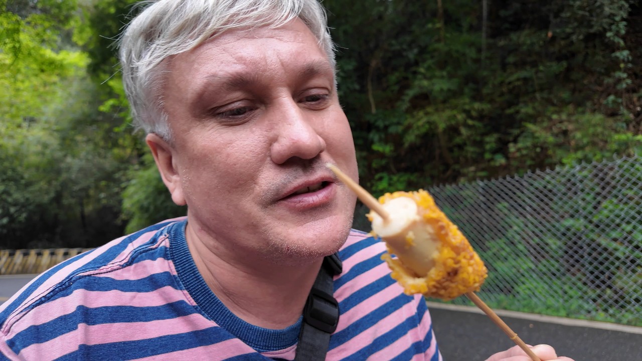 П*шань, п*сеньки и с*сеньки в горах Шаогуань. Жизнь в Китае 383