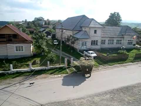 Subcetate, a calm day as always : )