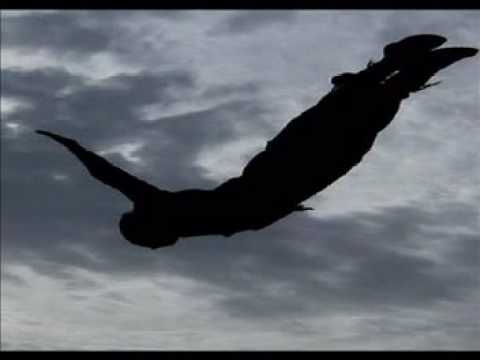 Significato della canzone Io scriveró di Rino Gaetano