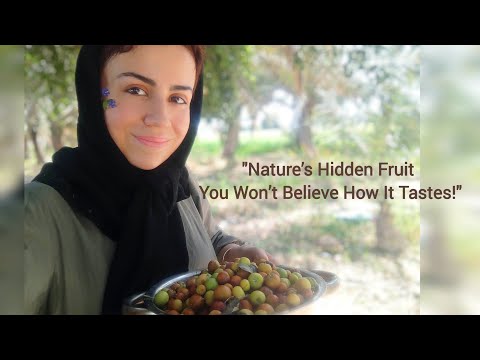 "This Fruit Only Grows Once a Year – We Had to Try it"