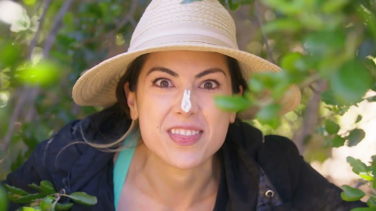 All-In-One HR Platform | Namely