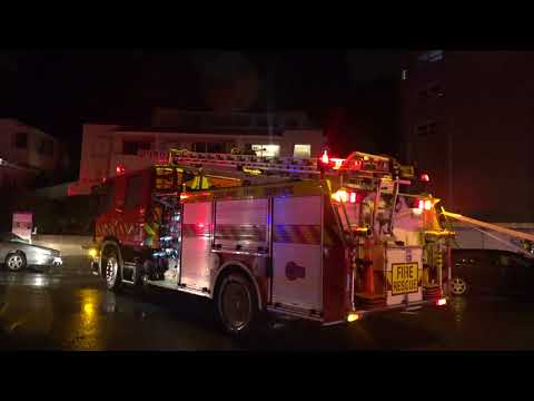 Major slip in Kohimarama