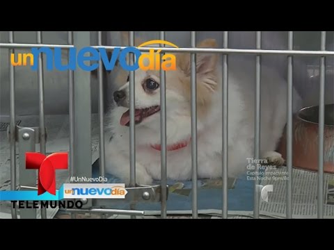 download lagu mp3 mp4 Desocuparlosalbergues Com, download lagu Desocuparlosalbergues Com gratis, unduh video klip Desocuparlosalbergues Com
