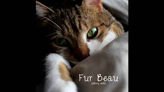 Mousechase // Fur Beau (Music for Cat Anxiety &amp; Stress) // Fur Beau