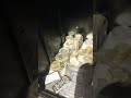 A little look inside! Is silver and gold safe?