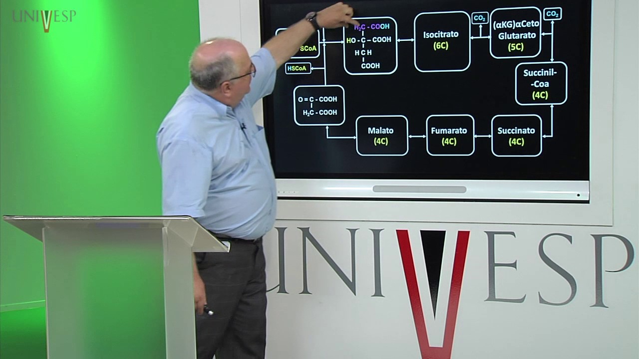 Bioquímica - Aula 13 - Respiração aeróbica