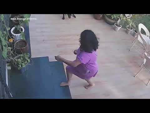 CCTV Captures Terrifying Moment Leopard Attacks Pet Dog