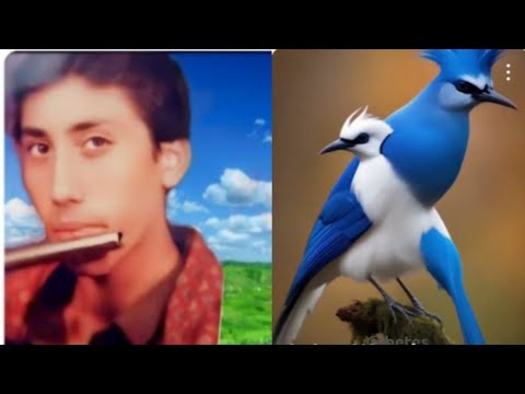 Flute Music Mughal Sahab song MAAN WAR DAYAN TAN WAR DAYANA (Super Hit) - NOOR JEHAN -