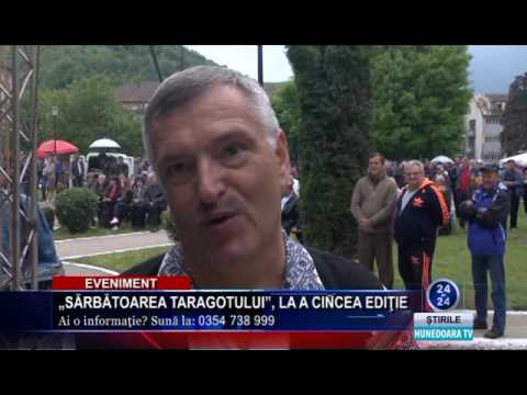 festivalul taragotului