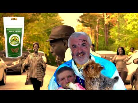 YOUNG LVÍŠE FT. ASAP JARDA - POTYŠ ZMED