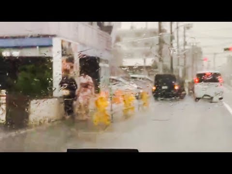 世田谷区 ゲリラ豪雨 ダウンバースト 2017/8/19 Storm! 雹？