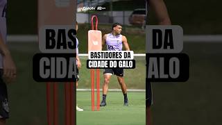 GALO PRONTO PARA ENCARAR O CORINTHIANS!
