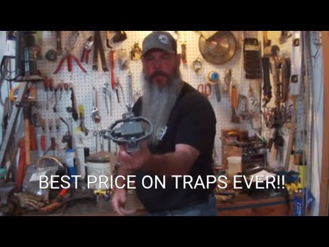 YOU WILL NEVER GET TRAPS THIS CHEAP AGAIN!!! #duke #trapping #coyote #bobcat #fox #raccoon