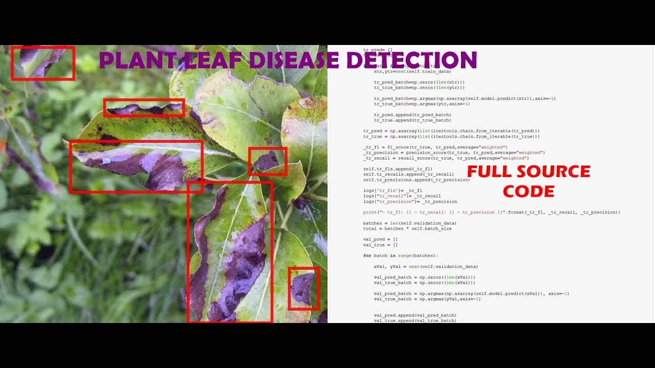 Plant Disease Detection Using CNN Python Project | With Source Code Python OpenCV Tensorflow Project