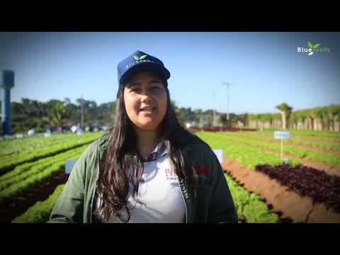 DIA DE CAMPO BLUESEEDS - JUNHO 2022