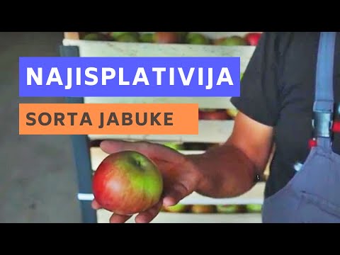 Ajdared Najisplativija Sorta Jabuke