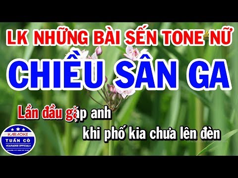 Tình Khúc Rumba Liên Khúc Karaoke Nhạc Sến Tone Nữ Dễ Hát Nhất 2019 | Chiều Sân Ga | Mưa Rừng