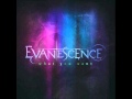 Evanescence - What You Want 