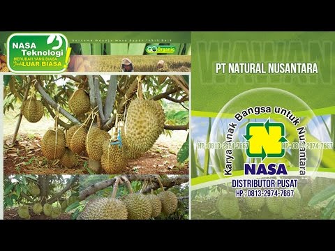 Apa buah di sana untuk potensi Bagaimana untuk memperbesar penis Anda tanpa extender