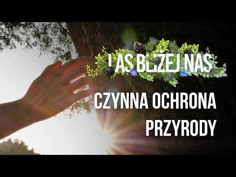 Las Bliżej Nas - Czynna ochrona przyrody