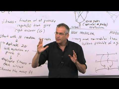 Systems biology course 2014 Uri Alon - lecture 10: Modularity
