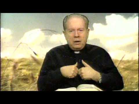 O Pão Nosso 22 Novembro 2014 - Pe. F. C. Cardoso.