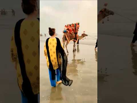 Camel 🐫 #cattleworld #shortsfeed #beach #viral #trending #viralvideo #reels #love #seaview #yt