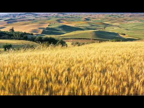 Double You Feat Don Cartel - Everything I Do (Extended Mix)