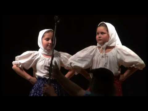 Liptáčik v Ostrave