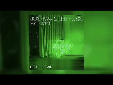 Joshwa & Lee Foss - My Humps (Detlef Remix)