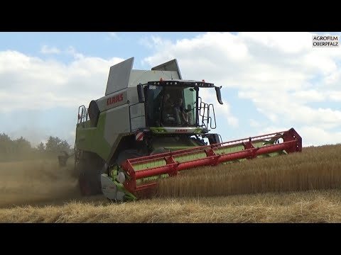 Das Dreschfieber beginnt - Claas Trion 660 Montana steil unterwegs - Gerste dreschen 2023