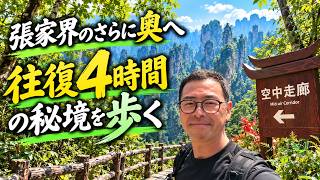 張家界のさらに奥へ|ロープウェイを降りて往復4時間、絶景の秘境を歩く