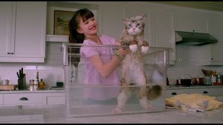 아홉 개의 목숨  NINE LIVES  2차 공식 예고편 (한국어 CC)