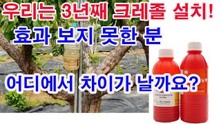 우리는 3년째 크레졸 설치! 효과 보지 못한 분 어디에서 차이가 날까요?(해충 방제, 노린재 방제, 해충 기…