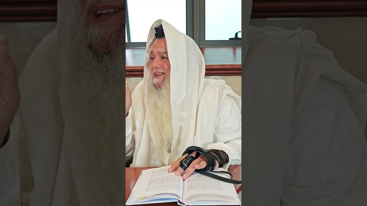 שער הביטחון | סבב שני - פרק 78