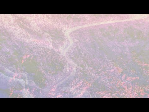 NOAH VANDEN ABEELE - Freedom (Official Music Video)