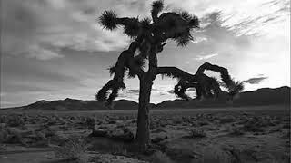 Desert of Our Love