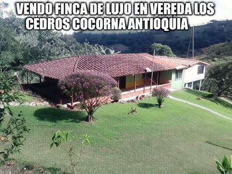 Vendo finca campestre Antioquia  | FINCA DE LUJO EN VEREDA LOS CEDROS COCORNA ANTIOQUIA  #parati