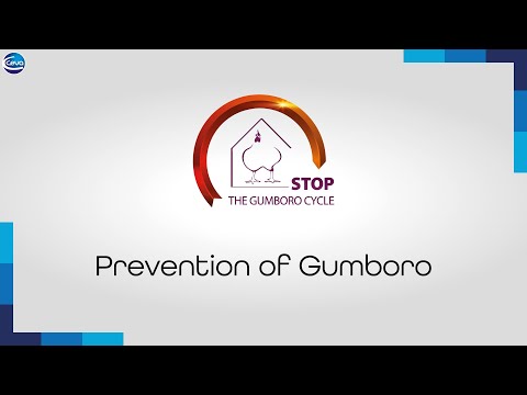 , title : 'Prevention of Gumboro'