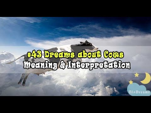 Cows - Dream Meaning and Interpretation