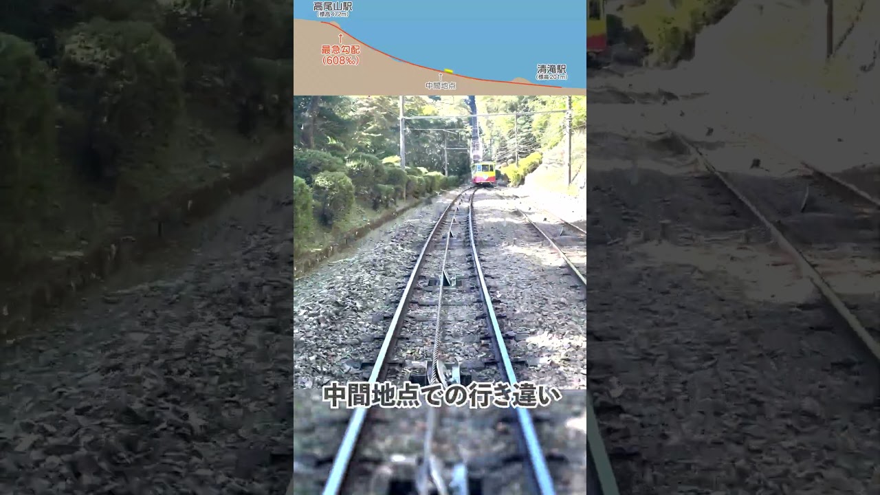 日本最急勾配を走る高尾山ケーブルカー #shorts