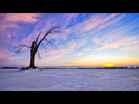 [1 Hour] Healing Music of Tambura for Third Eye Chakra Opening | Meditation Music | Taanpura Sounds