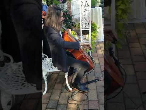 Promotional video thumbnail 5 for The Blue Moon Music Company