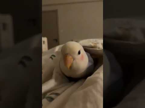 MOTIVATE HUMOR TUNUYAN MENDOZA