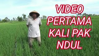 Download lagu VIDEO PERTAMA KALI PAK NDUL mp3 Download lagu VIDEO PERTAMA KALI PAK NDUL mp3