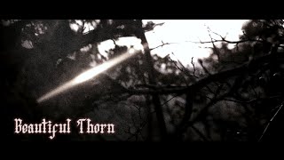Sopor Aeternus - Beautiful Thorn (lyrics)